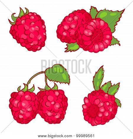Print vector