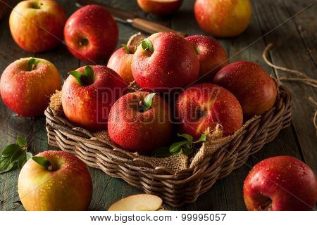 Raw Red Fuji Apples