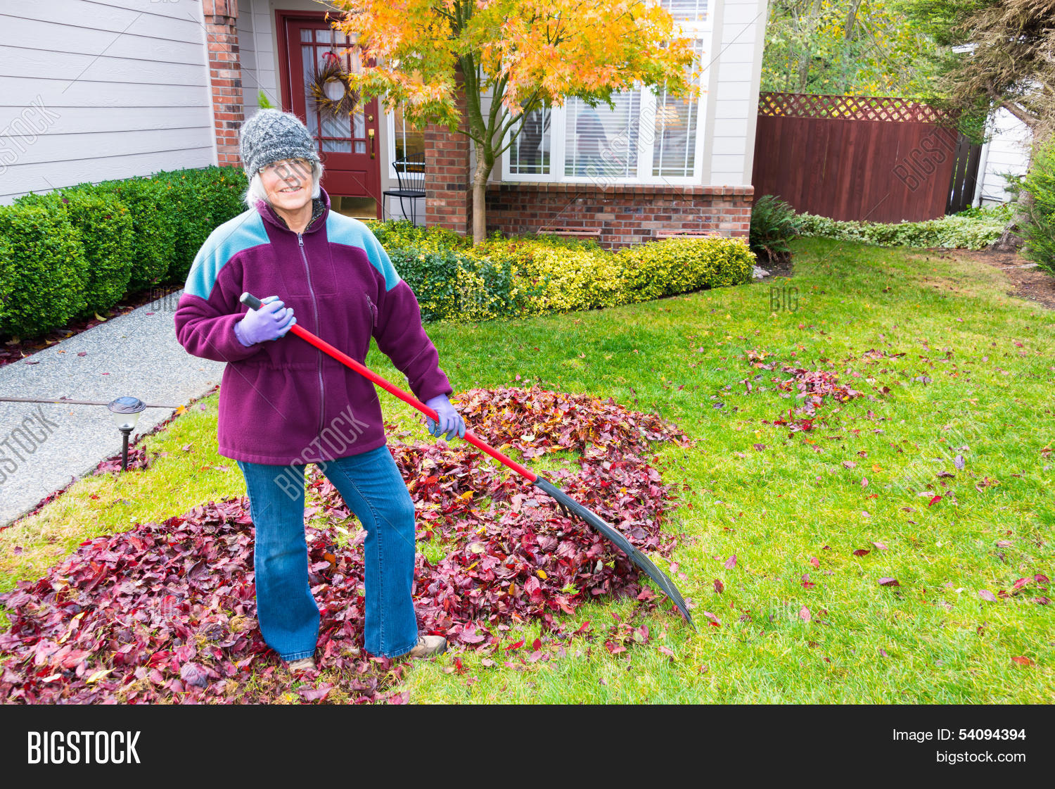 healthy active mature woman raking autumn leaves in her front