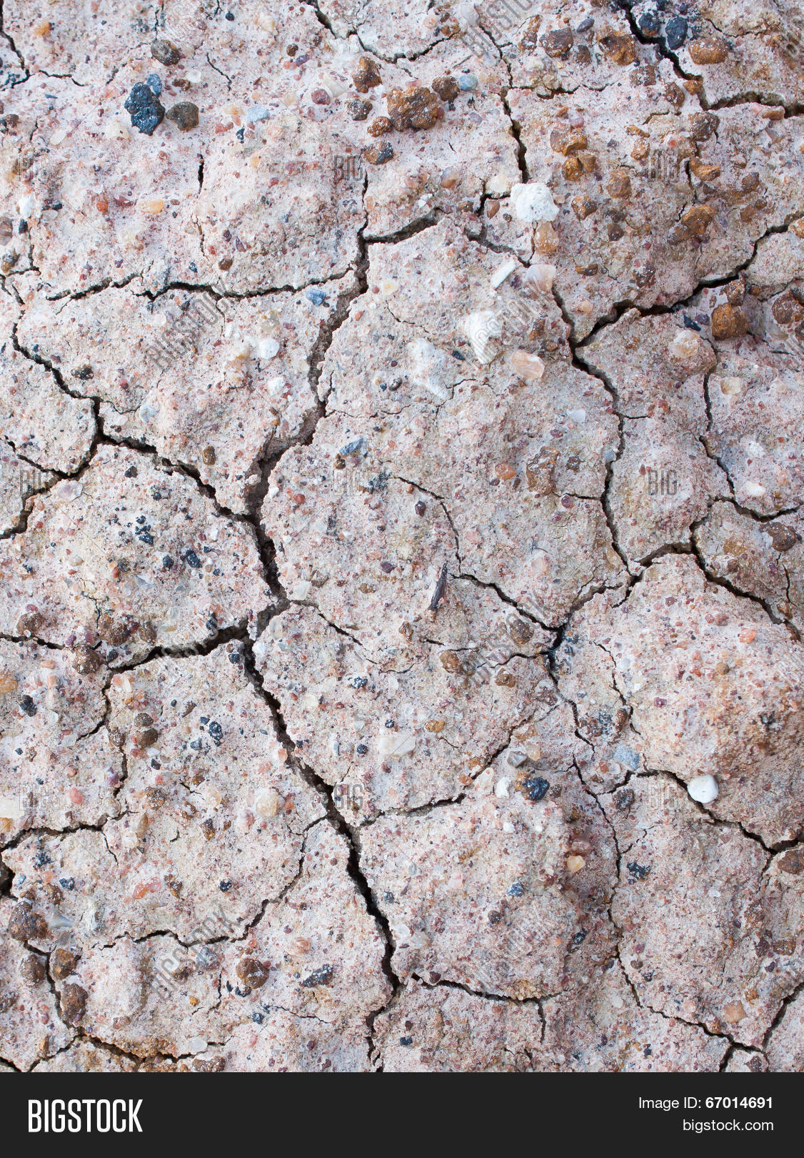 cracked soil 库存照片和库存图片 | bigstock