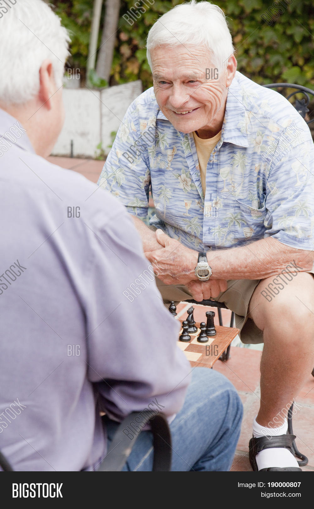 older caucasian men playing chess