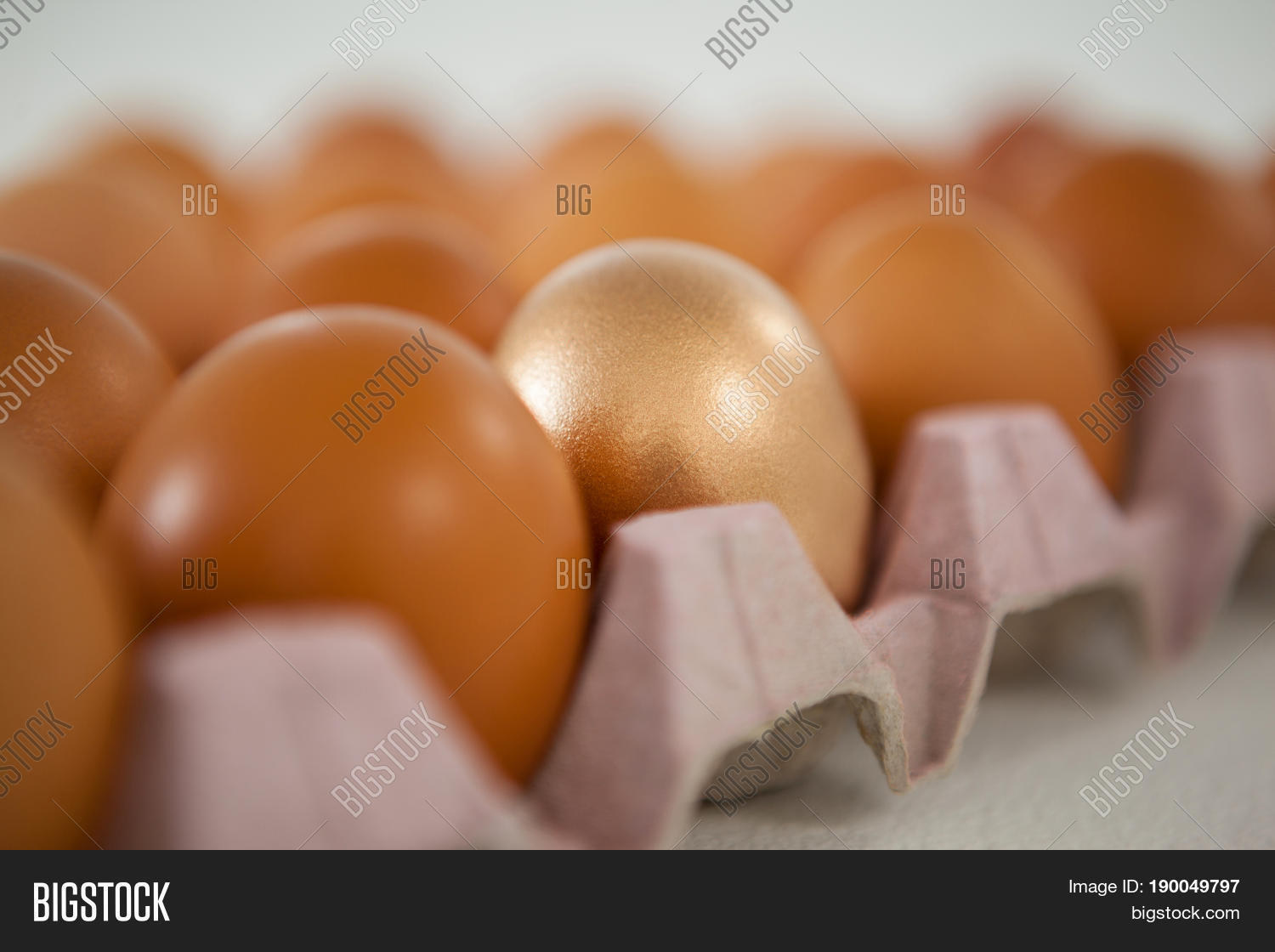 close-up of golden easter egg in carton