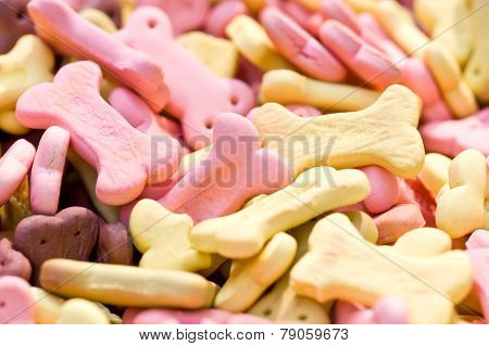 dog biscuit close up.