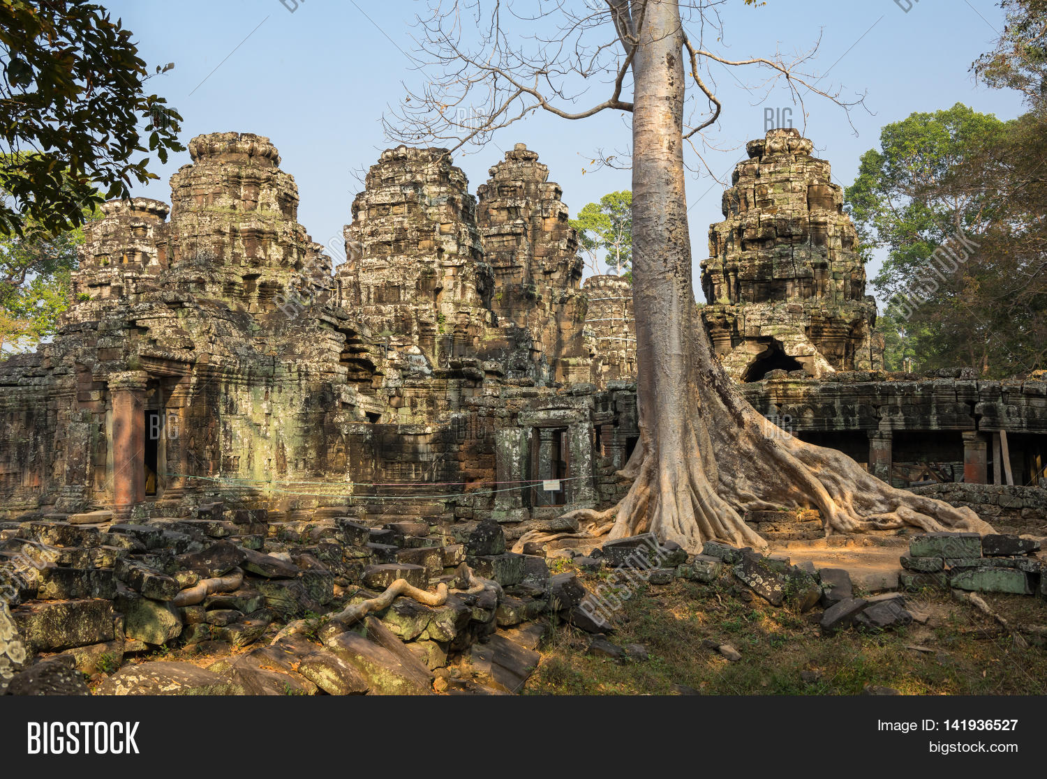 ruins of ta prohm temple at angkor wat complex siem reap