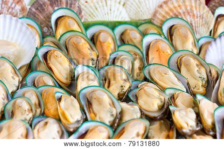 asian green mussel.