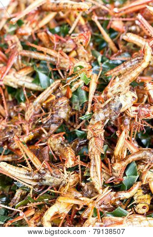 pile of fried grasshopper.