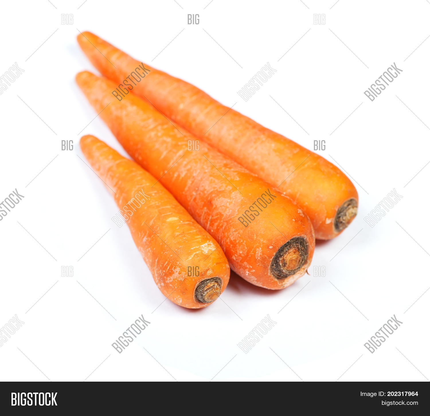 three carrots isolated on white background