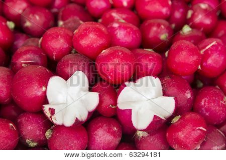 red radish