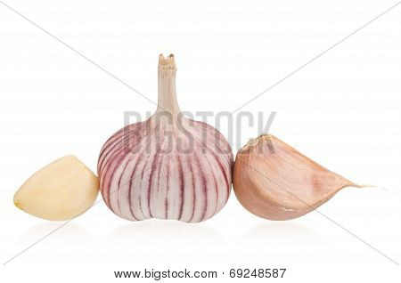 garlic bulb