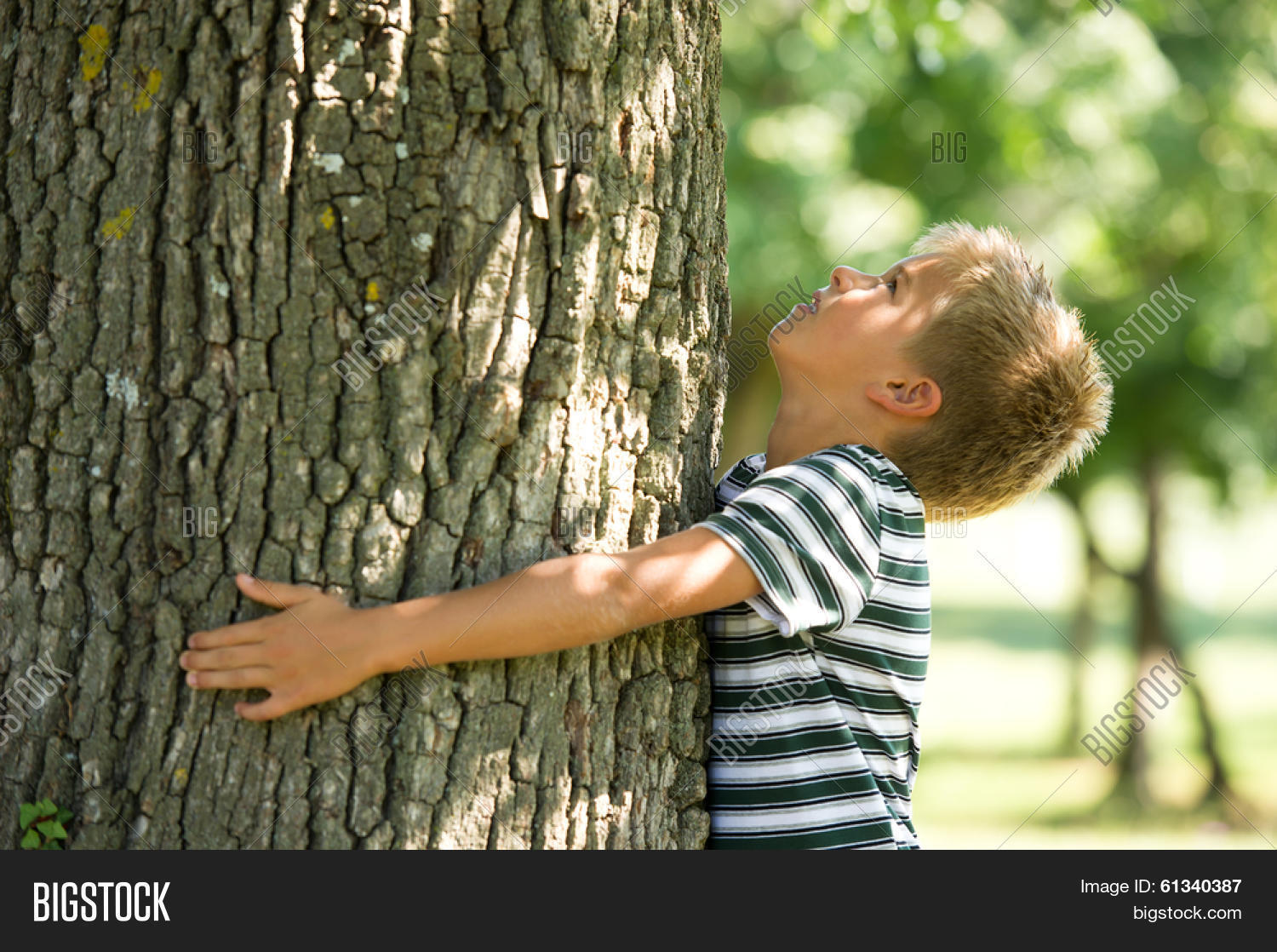 little boy hugging a tree. concept: care of nature