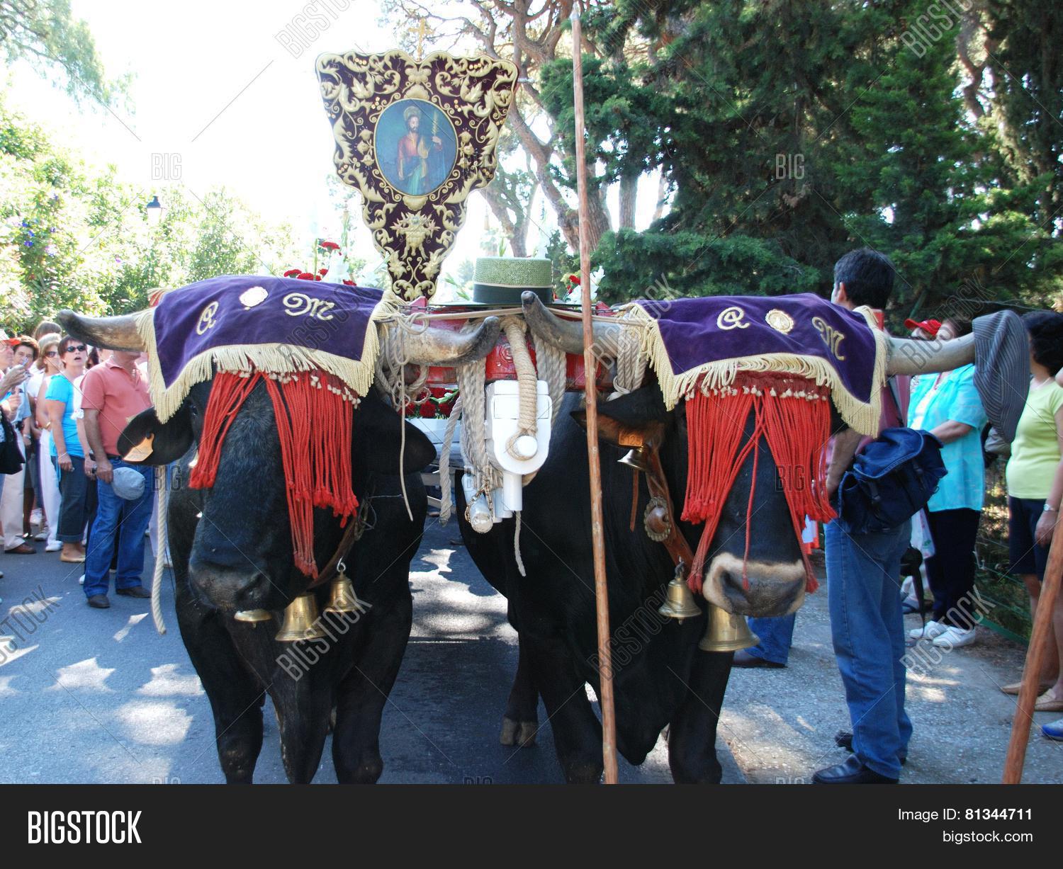 bull cart procession, marbella. 库存照片和库存图片 | bigstock