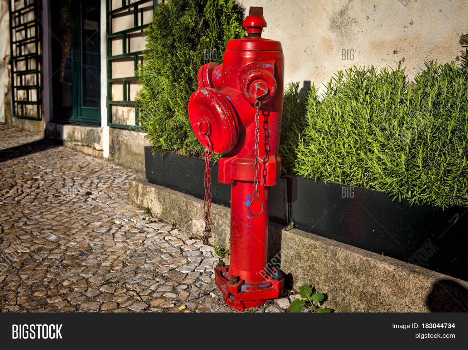 a closeup red fire hydrant on a street