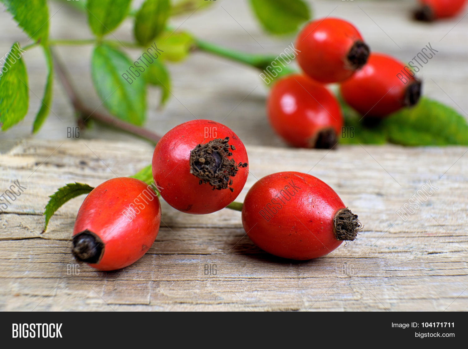 rosehips on an old wooden table nature red