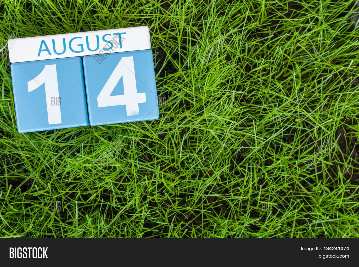 image of august 14 wooden color calendar on green grass lawn