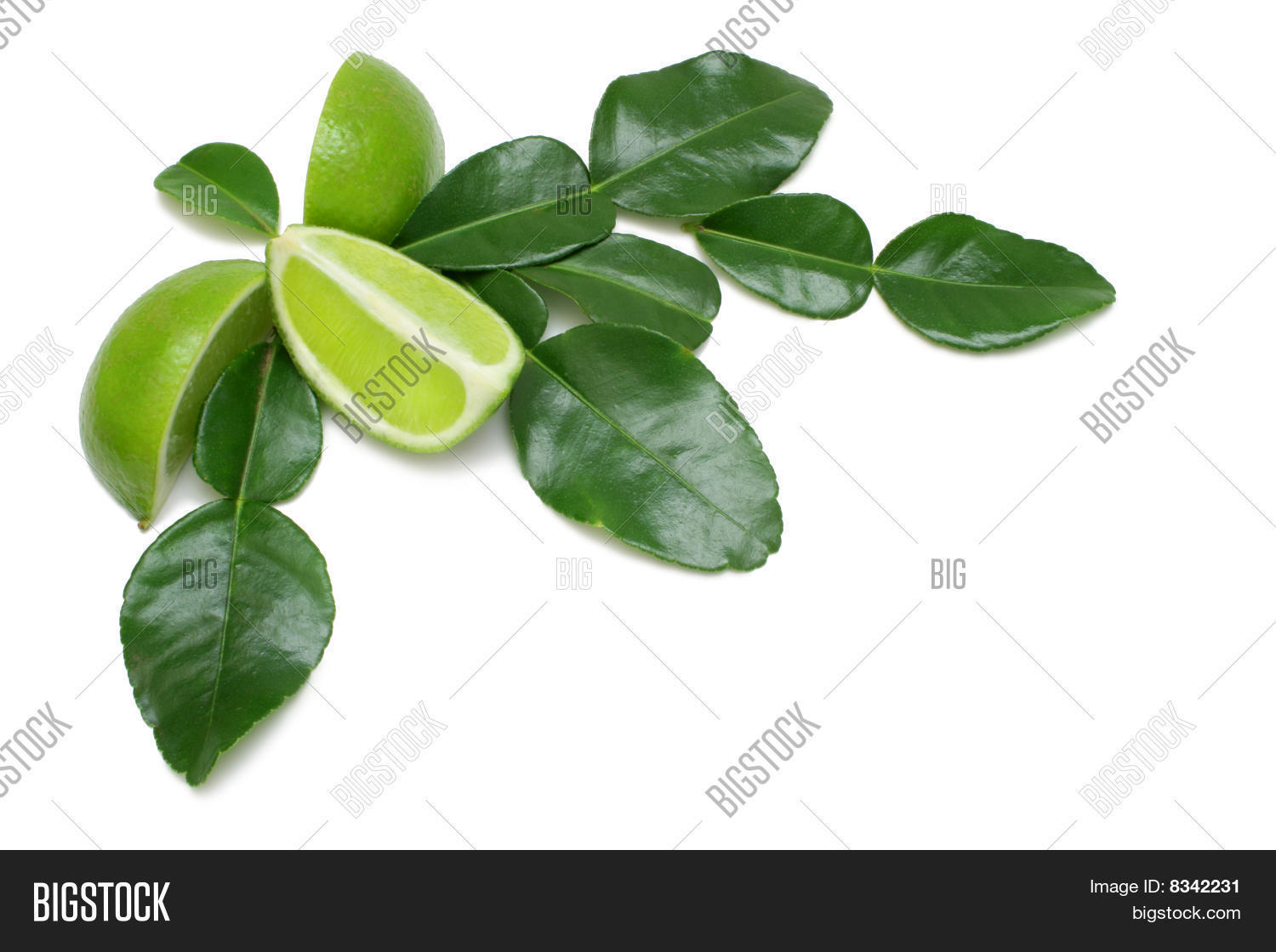 创建 lightbox 公开该 lightbox 保存取消   保存 kaffir lime wedges