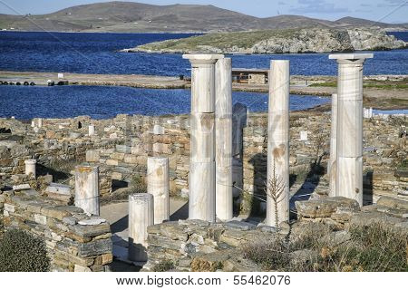 the ancient terrace of the lions on the greek island of delos.