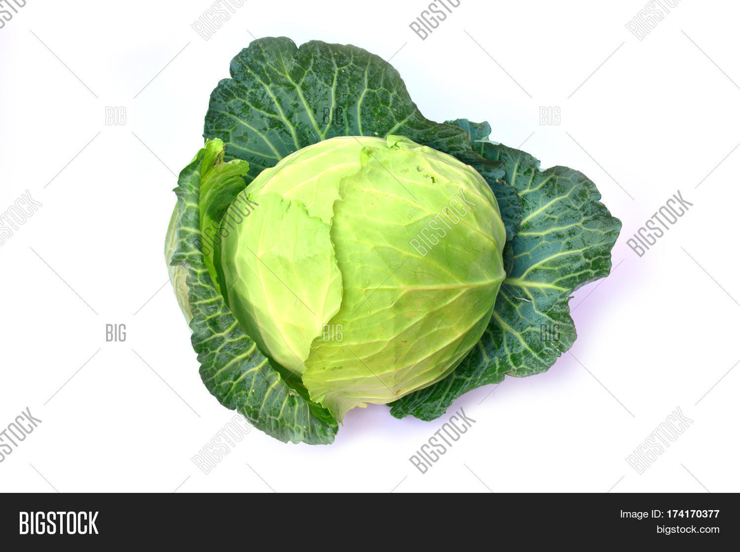 fresh green cabbage isolated on white background
