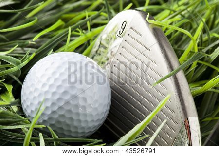 在绿色草地上纯白色 golfball