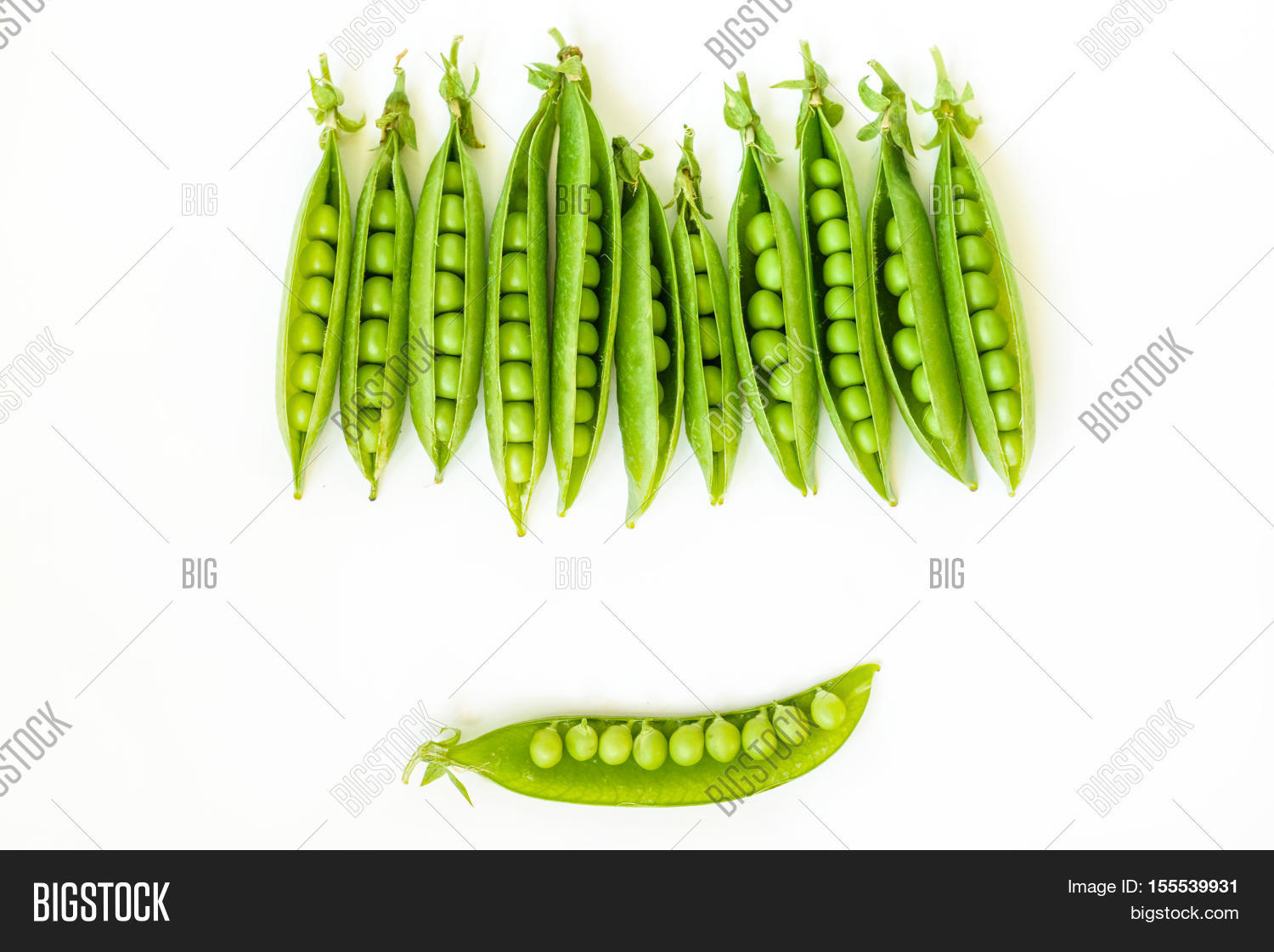 sweet pea in closeup. half opened. composed in a nice way