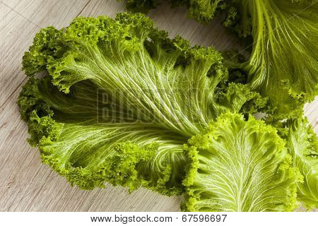 organic raw mustard greens
