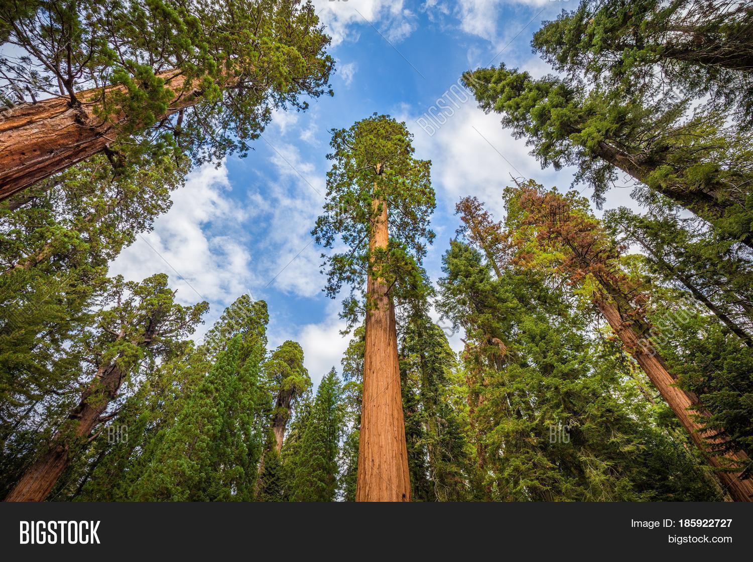 公开该 lightbox 保存取消   保存 classic wide-angle view of