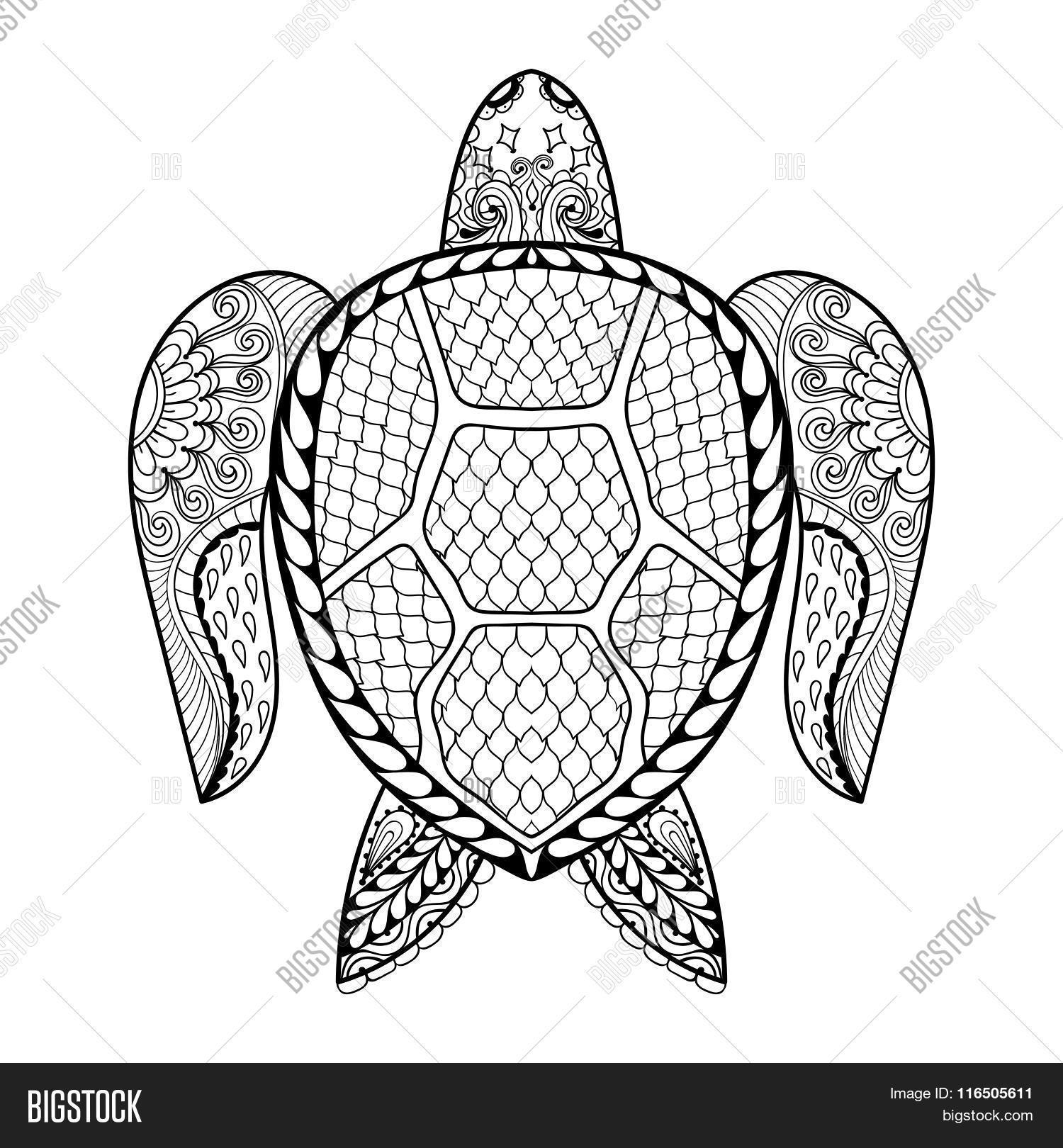 hand drawn sea turtle for adult coloring pages in doodle, zentan
