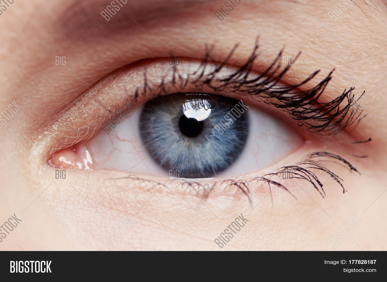 macro shot of human eye and eyelid with red veins.