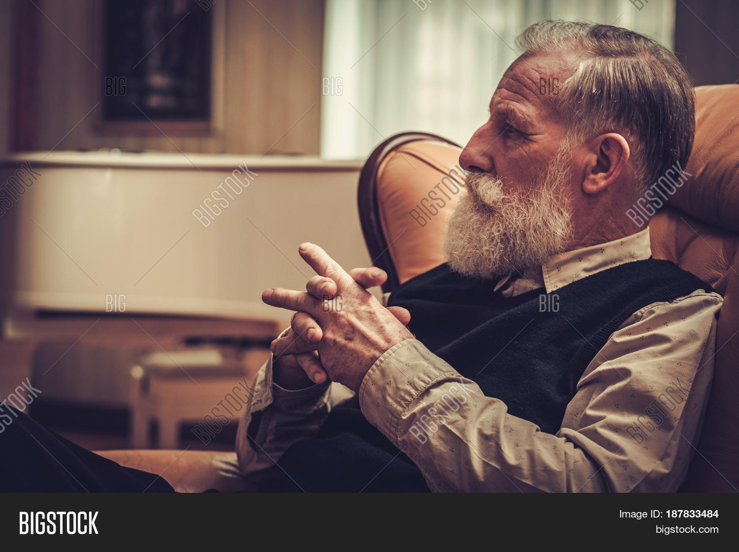 well-dressed senior man in luxury interior