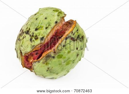 exotic fruit annona