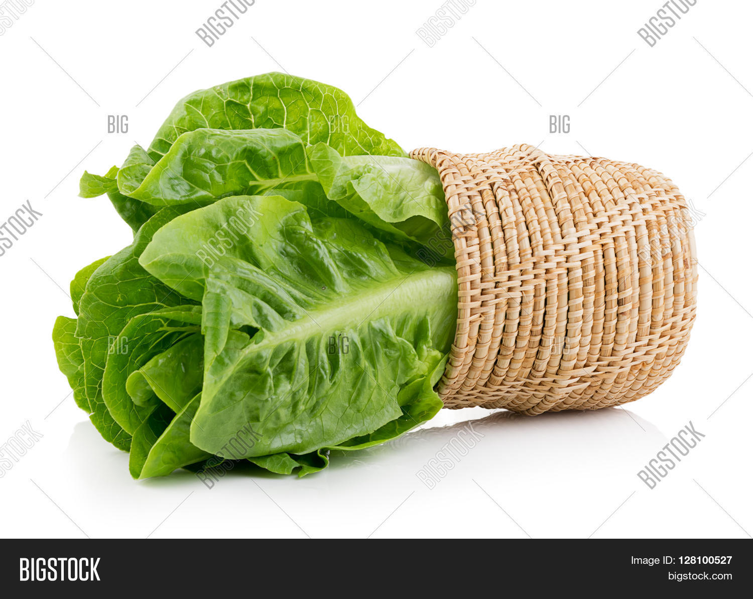 closeup fresh cos (lettuce) on white background