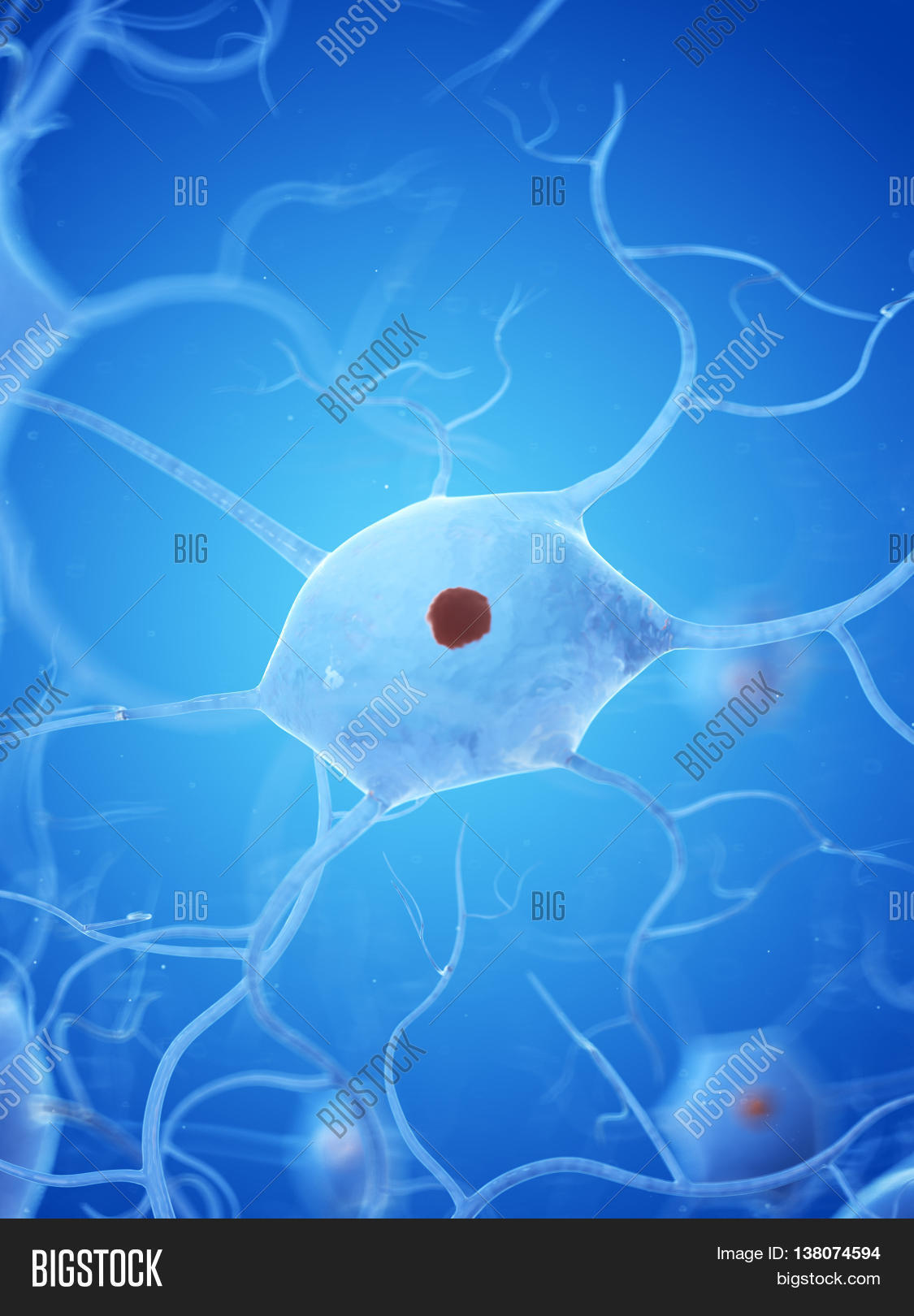3d rendered illustration of a nerve cell
