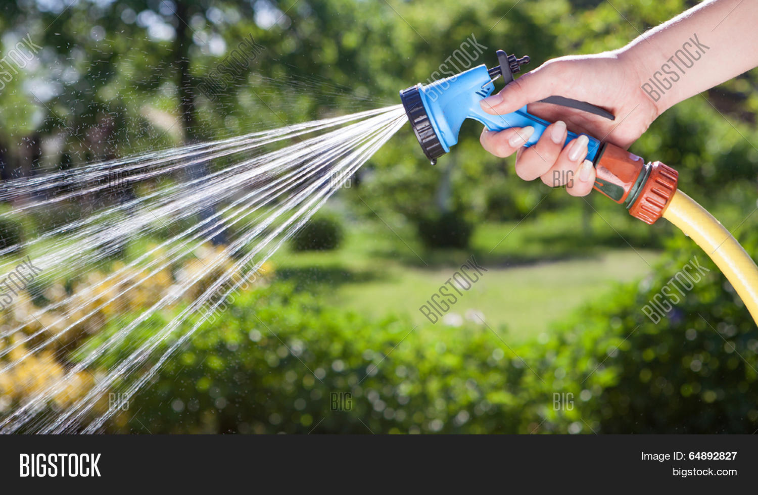 womans hand with hose sprinkle watering plants in the garden