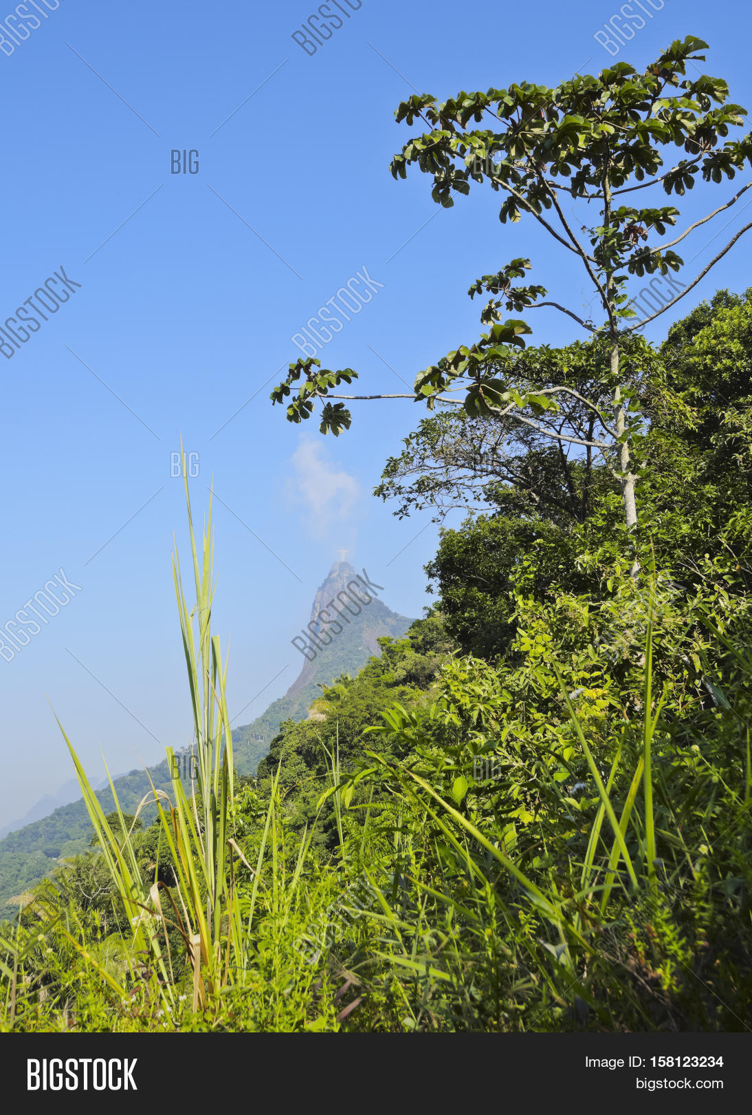 corcovado mountain 库存照片和库存图片 | bigstock