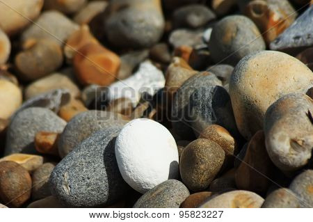 white pebble