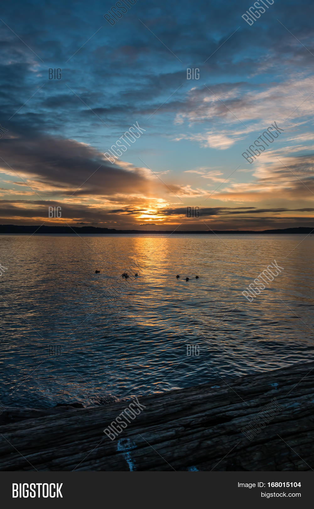 the sun sets over the puget sound in the pacific northwest.