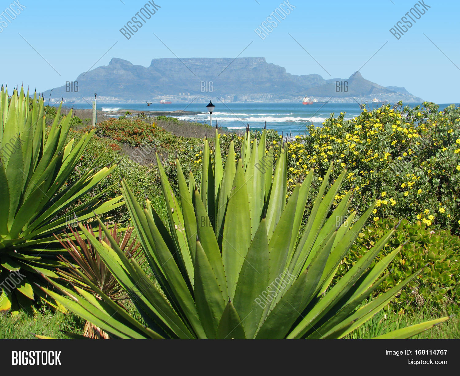 blouberg strand, cape town south africa 13nng