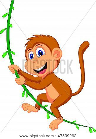可爱的猴子卡通摇摆