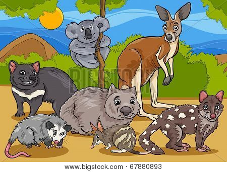marsupials animals cartoon illustration