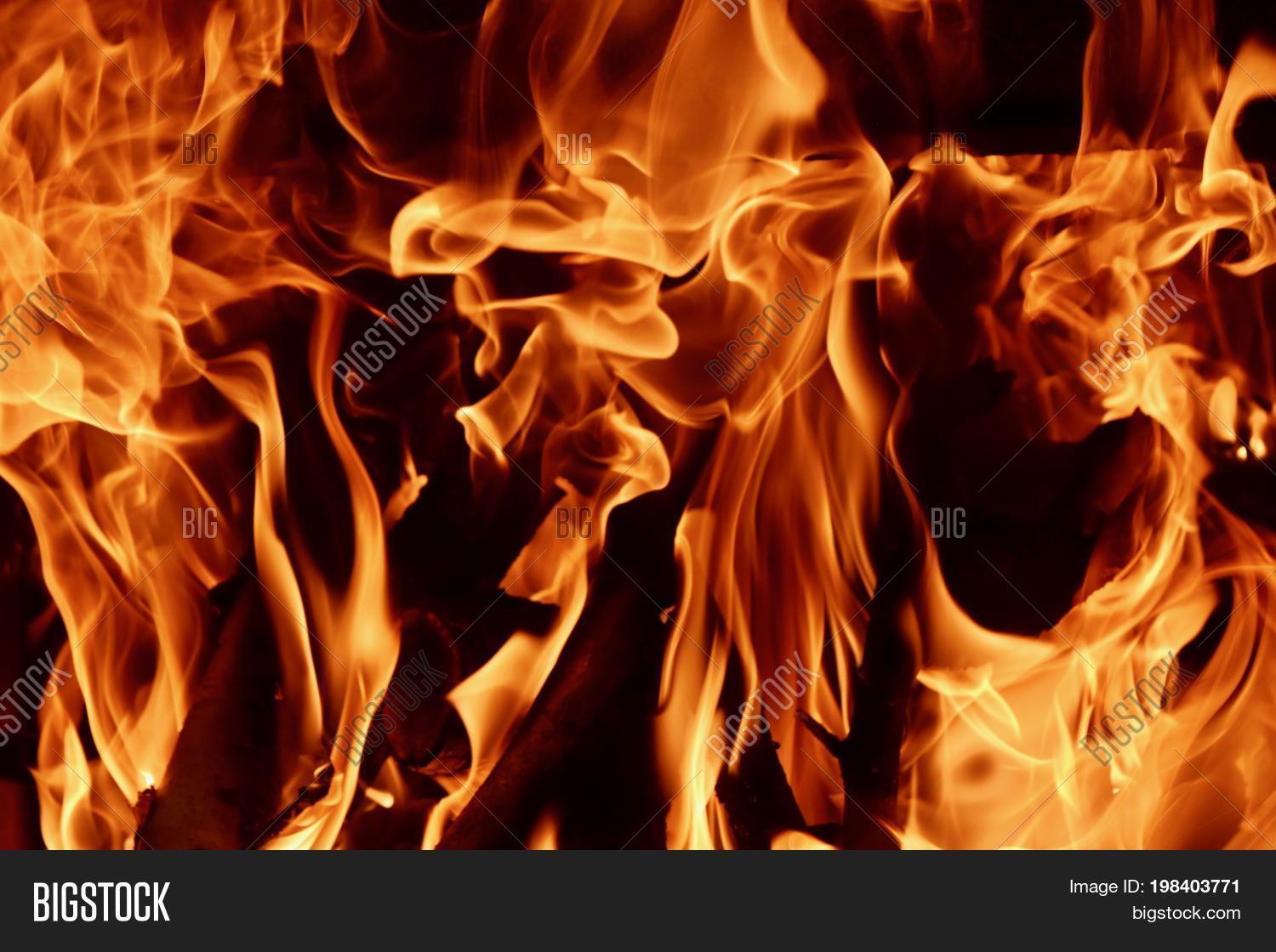 fire, flames, burning, heat, flame, orange, fire