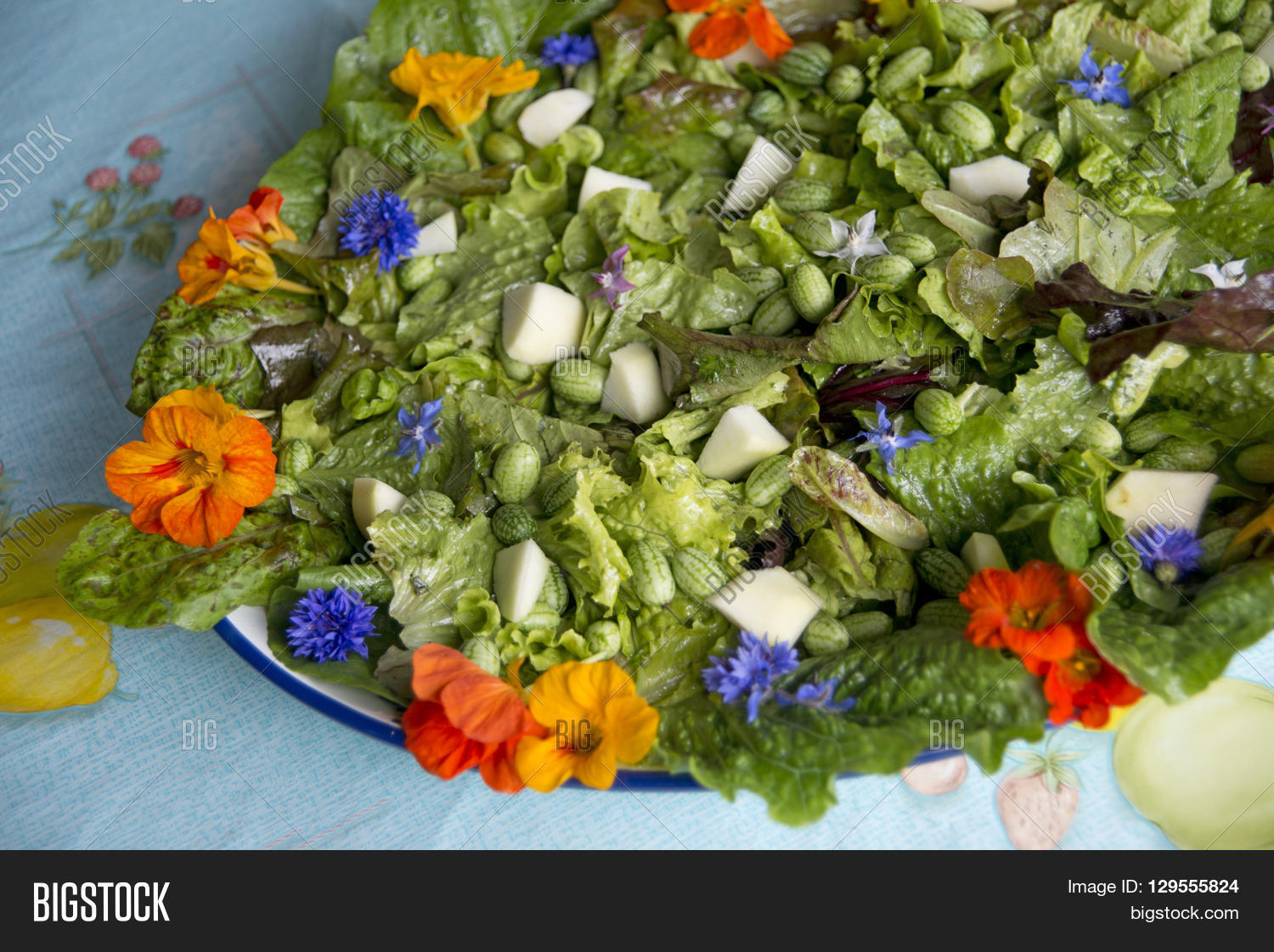 garden salad with eatable flowers the netherlands