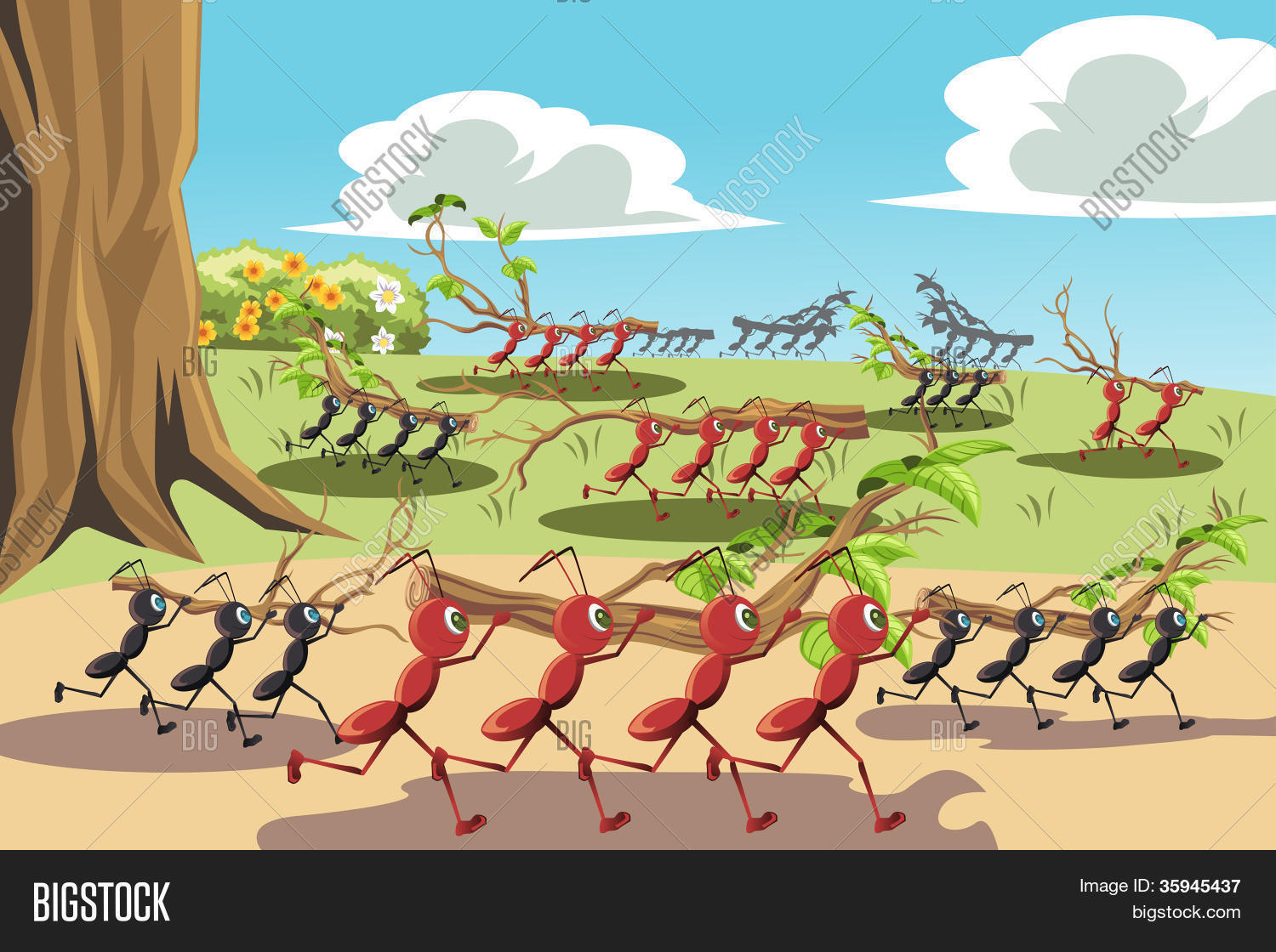 工作的蚂蚁 库存矢量图和库存照片 | bigstock